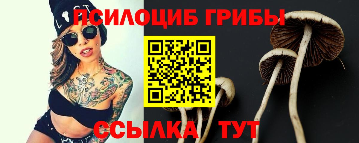Псилоцибиновые грибы ЛСД Ишим